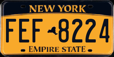 NY license plate FEF8224