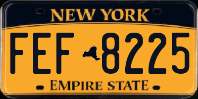 NY license plate FEF8225
