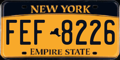 NY license plate FEF8226