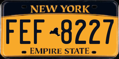 NY license plate FEF8227