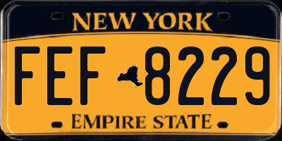 NY license plate FEF8229