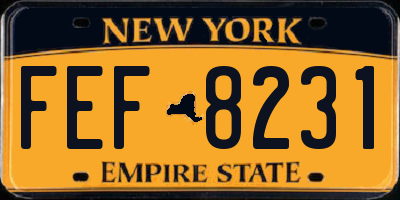 NY license plate FEF8231
