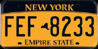NY license plate FEF8233