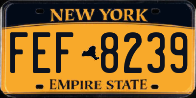 NY license plate FEF8239
