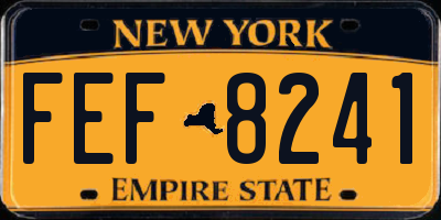 NY license plate FEF8241