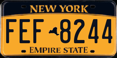 NY license plate FEF8244