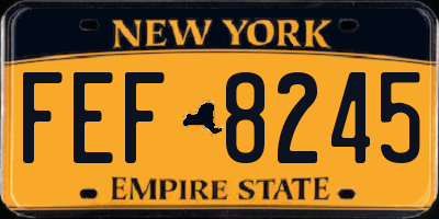 NY license plate FEF8245