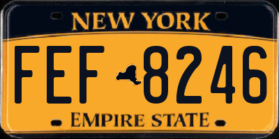 NY license plate FEF8246