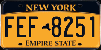 NY license plate FEF8251