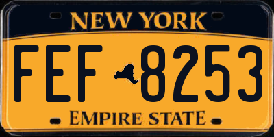 NY license plate FEF8253