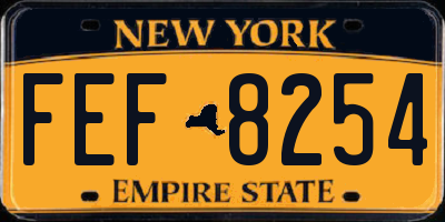 NY license plate FEF8254