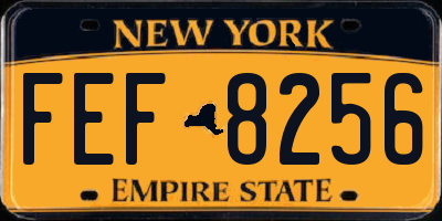 NY license plate FEF8256