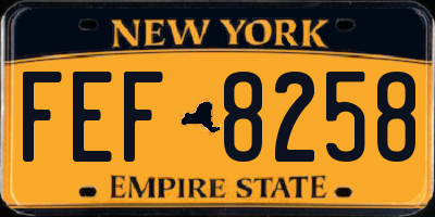 NY license plate FEF8258