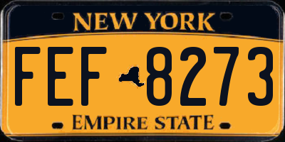 NY license plate FEF8273