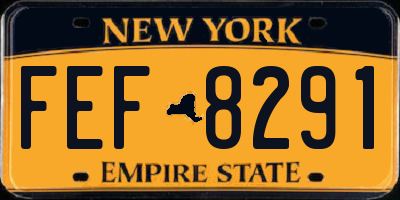 NY license plate FEF8291