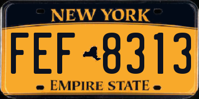 NY license plate FEF8313