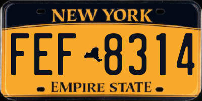 NY license plate FEF8314