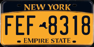NY license plate FEF8318