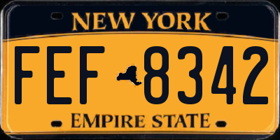 NY license plate FEF8342