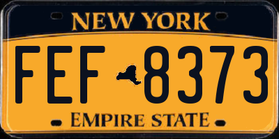 NY license plate FEF8373