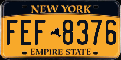 NY license plate FEF8376