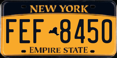 NY license plate FEF8450