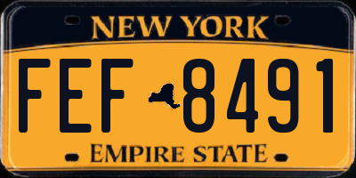 NY license plate FEF8491