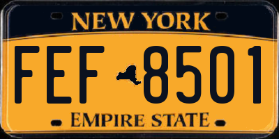 NY license plate FEF8501