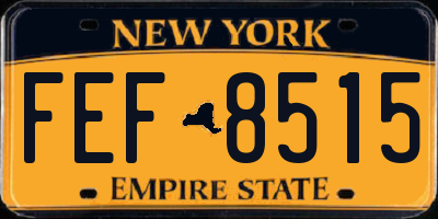 NY license plate FEF8515