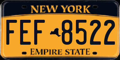 NY license plate FEF8522