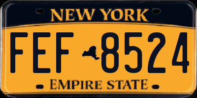 NY license plate FEF8524