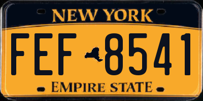 NY license plate FEF8541
