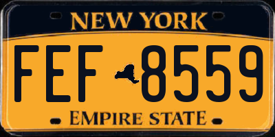 NY license plate FEF8559