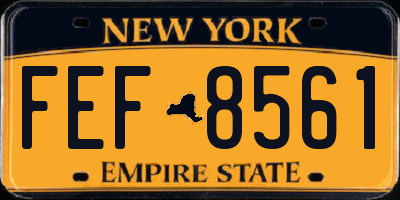 NY license plate FEF8561
