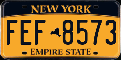NY license plate FEF8573