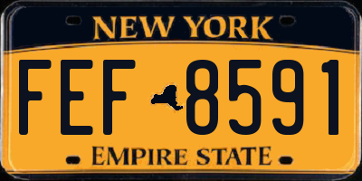 NY license plate FEF8591