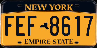 NY license plate FEF8617