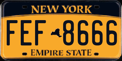 NY license plate FEF8666