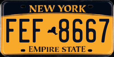 NY license plate FEF8667