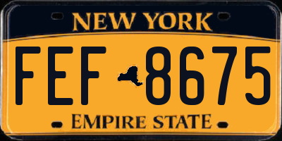NY license plate FEF8675