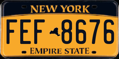 NY license plate FEF8676