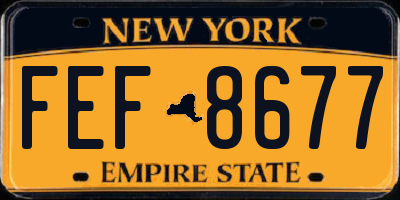 NY license plate FEF8677