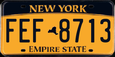 NY license plate FEF8713