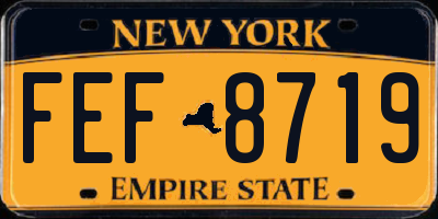 NY license plate FEF8719