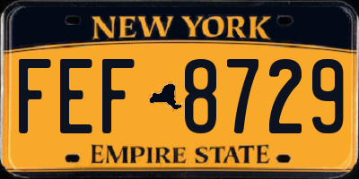 NY license plate FEF8729