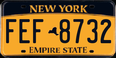 NY license plate FEF8732