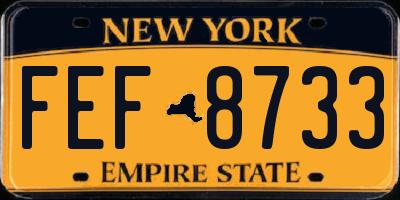 NY license plate FEF8733