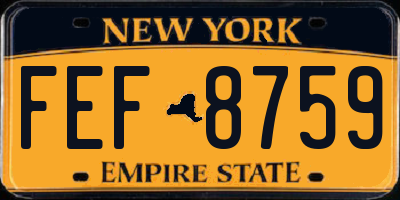 NY license plate FEF8759