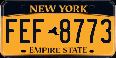 NY license plate FEF8773