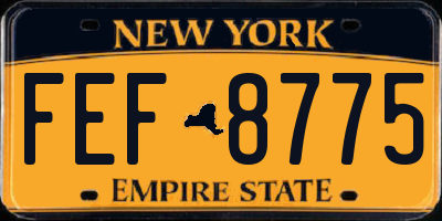 NY license plate FEF8775